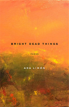 bright dead things limon